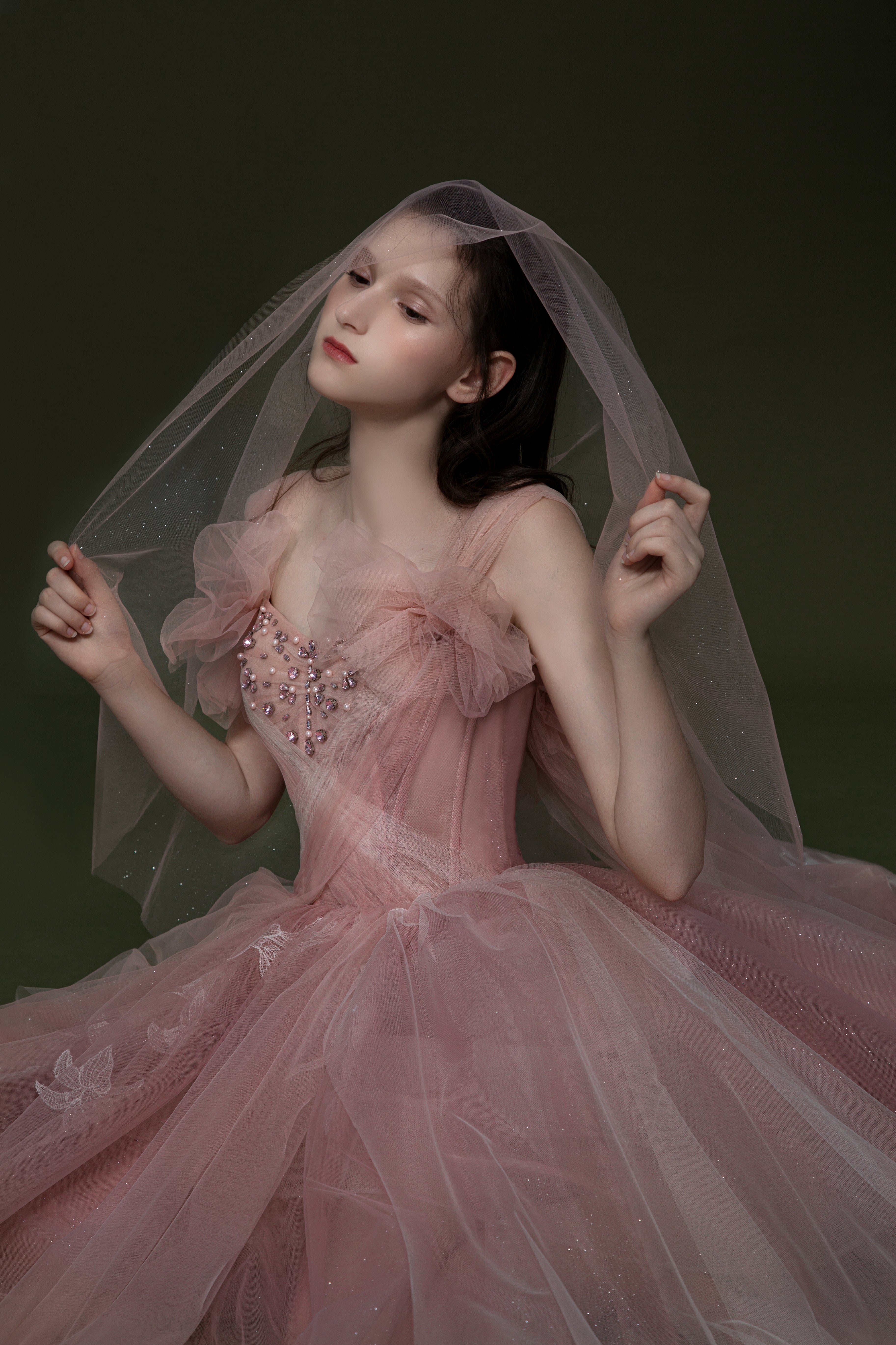 樱雪晴空 Cherry Snow Blossoms