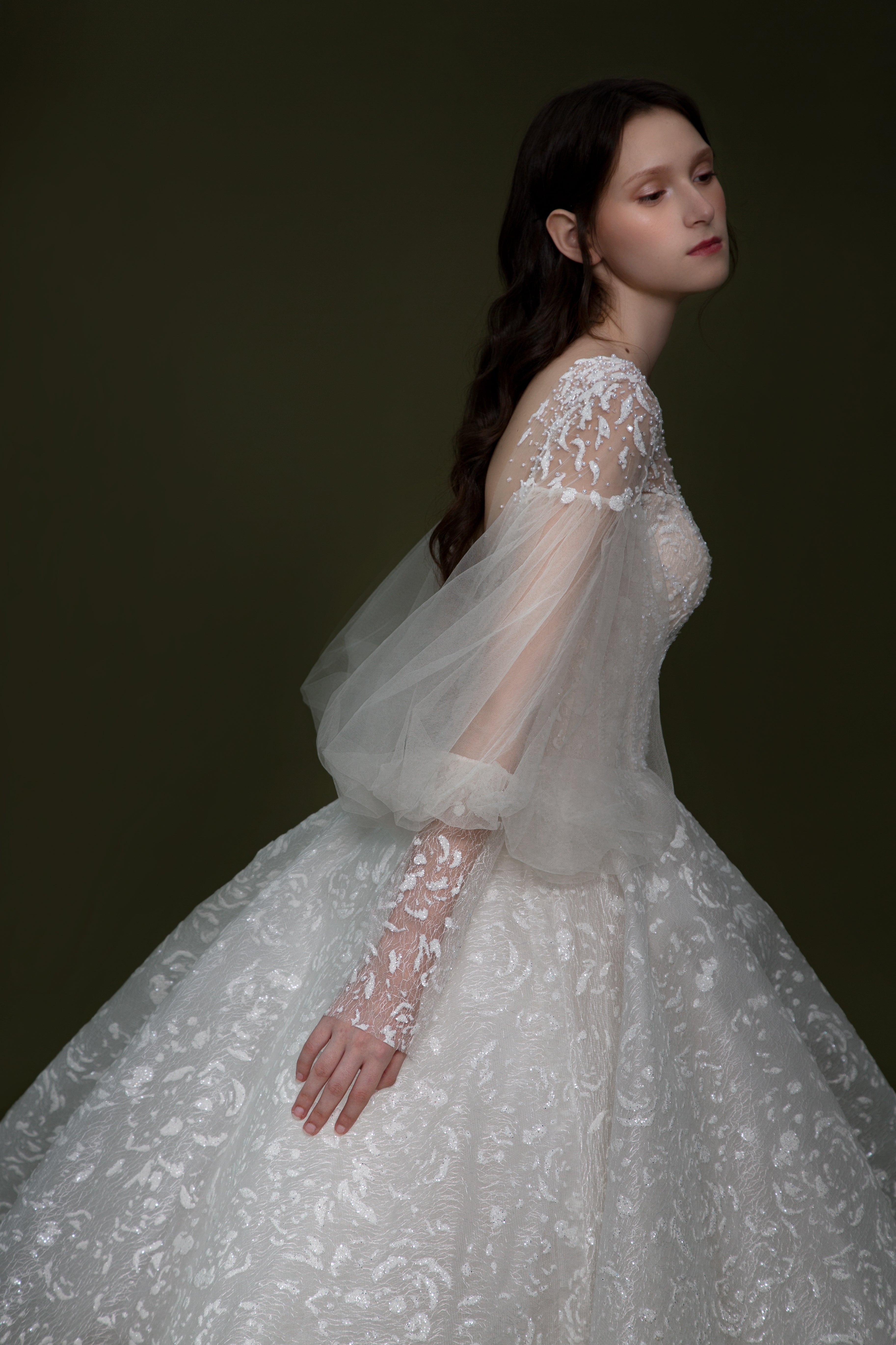 霜织羽 Frost Woven Feathers